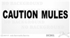 Caution Mules Horse Trailer Window Decal