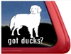 Got Ducks? Nova Scotia Duck Tolling Retriever Dog iPad Car Window Decal Sticker