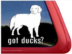 Got Ducks? Nova Scotia Duck Tolling Retriever Dog iPad Car Window Decal Sticker