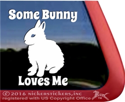 Some Bunny Loves Me Dwarf Rabbit Window Decal