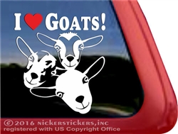 Nigerian Dwarf Goats Car Truck RV Window Decal