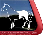 Custom POA Pony of the Americas Horse Trailer Car Truck RV Window Decal Sticker