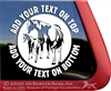 Paint Mare & Foal Window Decal