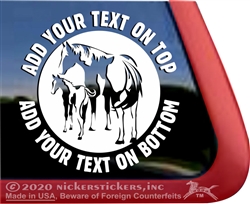 Paint Mare & Foal Window Decal