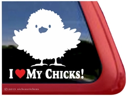 Chick Car Truck RV Trailer Window Decal Sticker