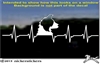 Custom Border Collie Heartbeat Dog Car Truck RV Window Decal Sticker