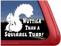 Squirrel Window Decal