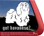Got Havanese Vinyl Adhesive Window Dog Decal Sticker