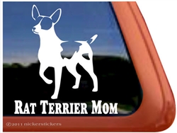 Rat Terrier Window Decal