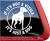 Vizsla Gun Dog Window Decal Sticker