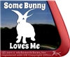 Rabbit Window Decal