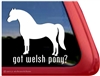 Welsh Pony Horse Trailer Window Decal
