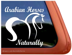 Arabian Pinto Horse Trailer Window Decal