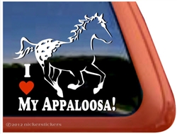 Appaloosa Window Decal