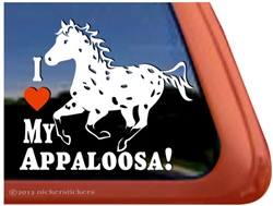 Leopard Appaloosa Window Decal