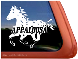 Leopard Appaloosa Window Decal