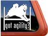 Samoyed Agility Dog Window Decal