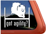 Pomeranian Agility Dog Window Decal