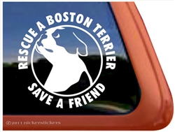 Boston Terrier Window Decal