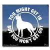 Swiss Shepherd Window Decal