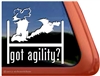 Springer Spaniel Agility Dog Window Decal