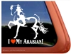 Arabian Pinto Horse Trailer Window Decal