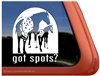 Appaloosa Mare & Foal Window Decal