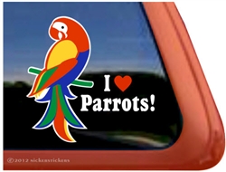 Macaw Window Decal