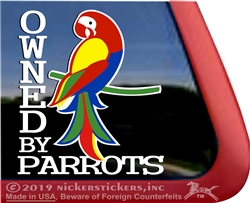 Macaw Window Decal