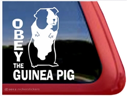 Guinea Pig Window Decal