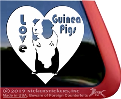 Guinea Pig Window Decal