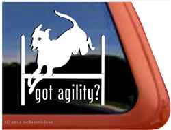 Italian Greyhound Agility Dog Window Decal