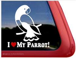 Eclectus Parrot Window Decal