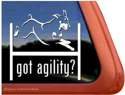 Doberman Agility Dog Window Decal