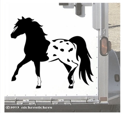 Miniature Appaloosa Horse Trailer Car Truck RV Window Decal Sticker