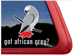 African Grey Window Decal