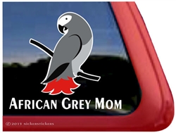 African Grey Window Decal