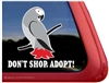 African Grey Window Decal