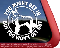 Shilo Shepherd Window Decal