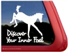 Foal Horse Trailer Window Decal