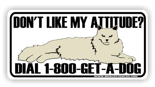 Funny Cat Bumper Sticker â€“ NickerStickers