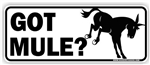 Got Mule? Equine Mule Car Truck Tractor RV Bumper Sticker Decal