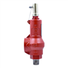 Pressure Relief Valve (150 PSI)