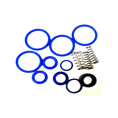 Check Valve Repair Kit