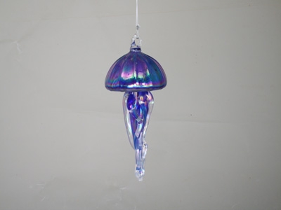 Jellyfish