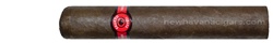 Fausto FT140 Robusto Extra Box of 25