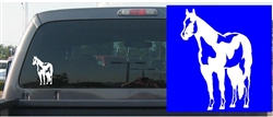 Paint Horse Decal