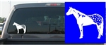 Appaloosa Decal