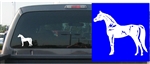 Arabian Horse Decal