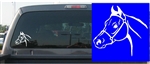 Arabian Horse Head Decal